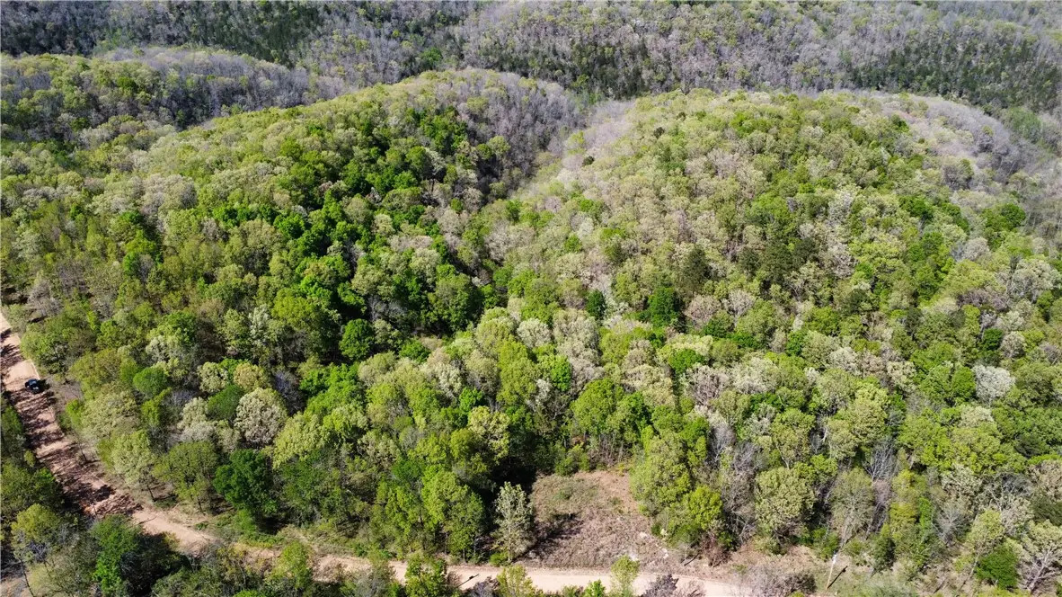 000 Holmes Road, Northwest, AR 72560 - Image #1