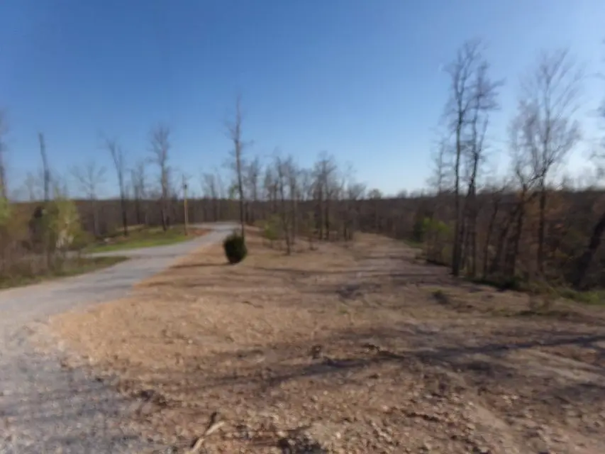 000 Freemont, Pineville, MO 64856 - #2