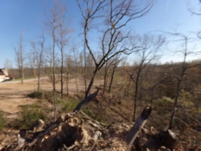 000 Freemont, Pineville, MO 64856 - #3