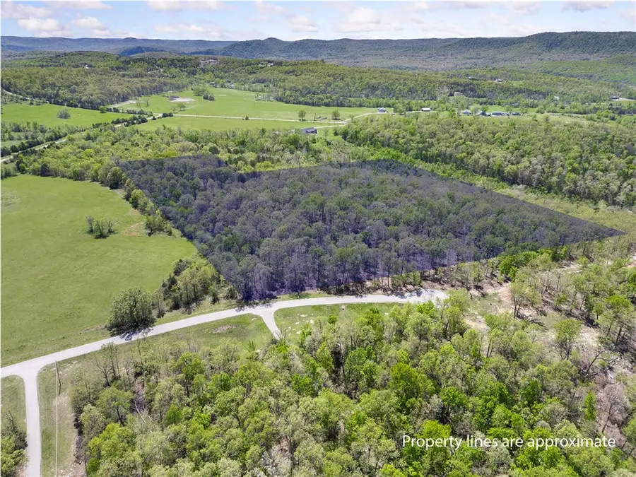 White River Valley, Mountain Home, AR 72653 - Image #3