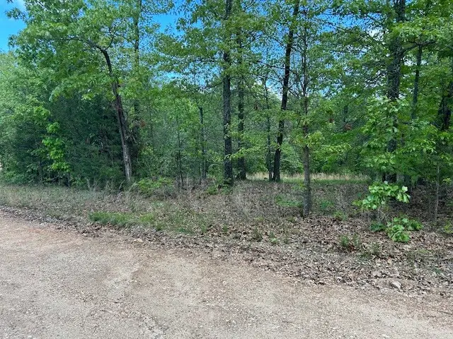 166 Mallard Terrace, Flippin, AR 72634 - Image #2