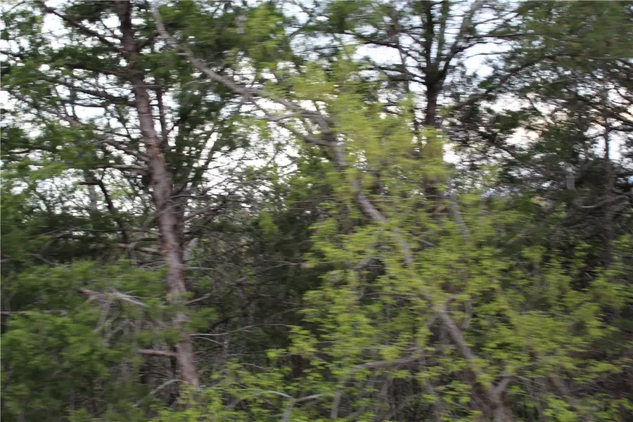 000 Lone Pilgrim, Taneyville, MO 65759 - Image #3