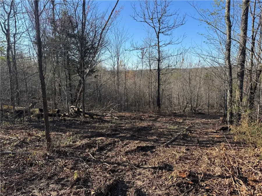 Tract 2 Nc 8374 Road, Jasper, AR 72641 - Image #3