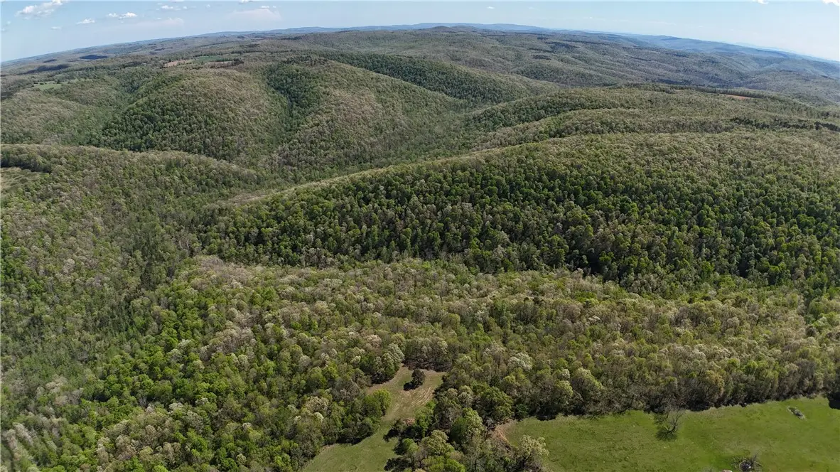 Tbd, Tilly, AR 72679 - Image #1