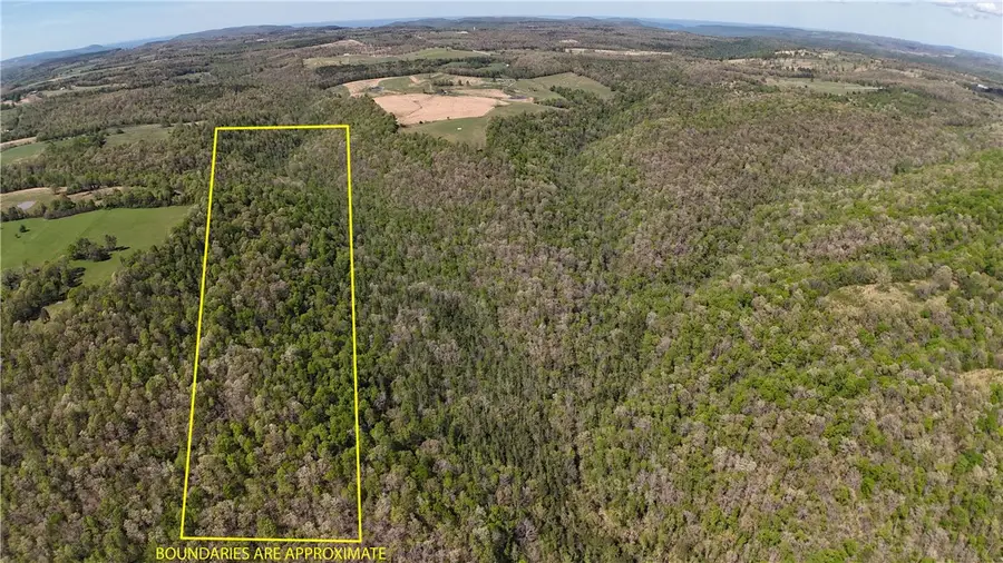 Tbd, Tilly, AR 72679 - Image #3