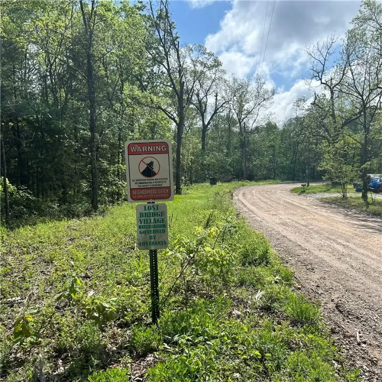 Arabian Drive, Rogers, AR 72756 - #2