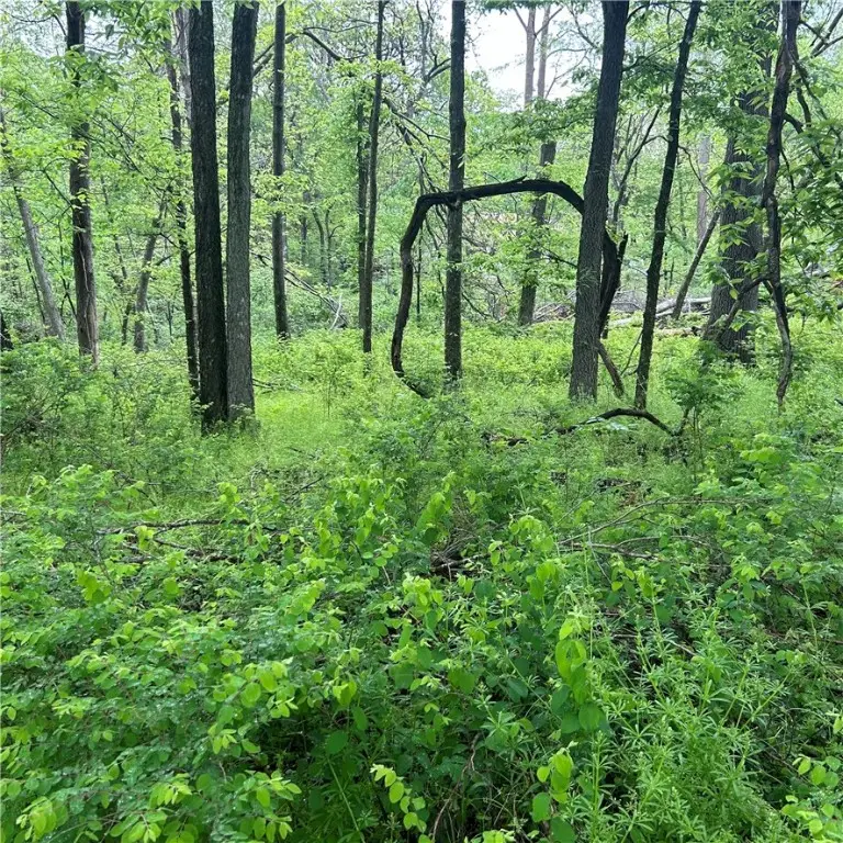 Arabian Drive, Rogers, AR 72756 - #3