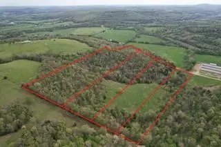 Tbd 5551, Huntsville, AR 72740 - Image #1