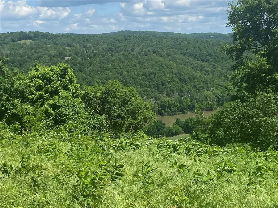 Eagle Point Road, Mountain View, AR 72560 - Image #2