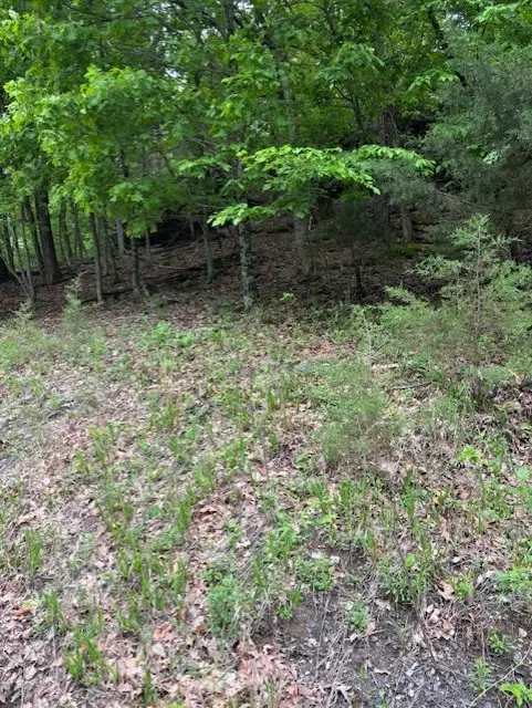 Dogwood Drive, Garfield, AR 72732 - Image #2