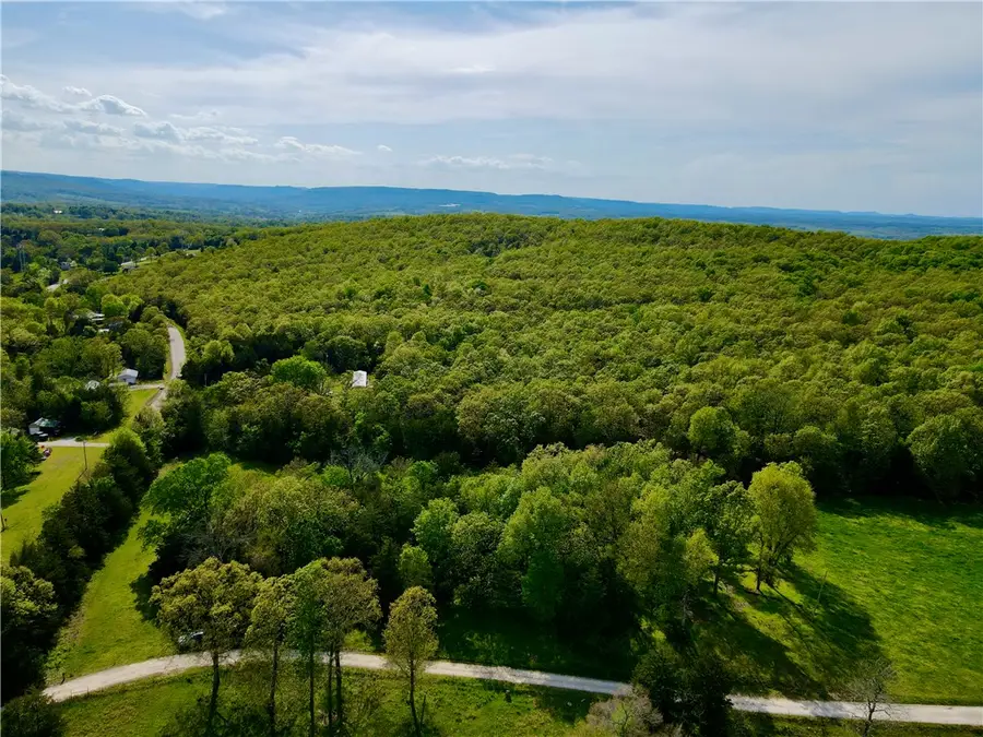 Dunkard Road, Harrison, AR 72601 - Image #2