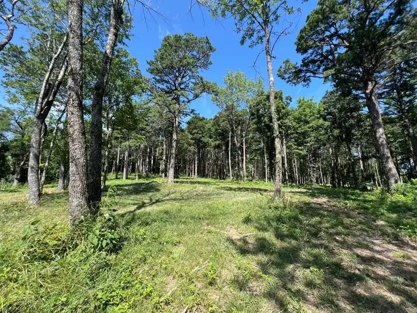 Tract F Ar 7 South, Jasper, AR 72641 - Image #3