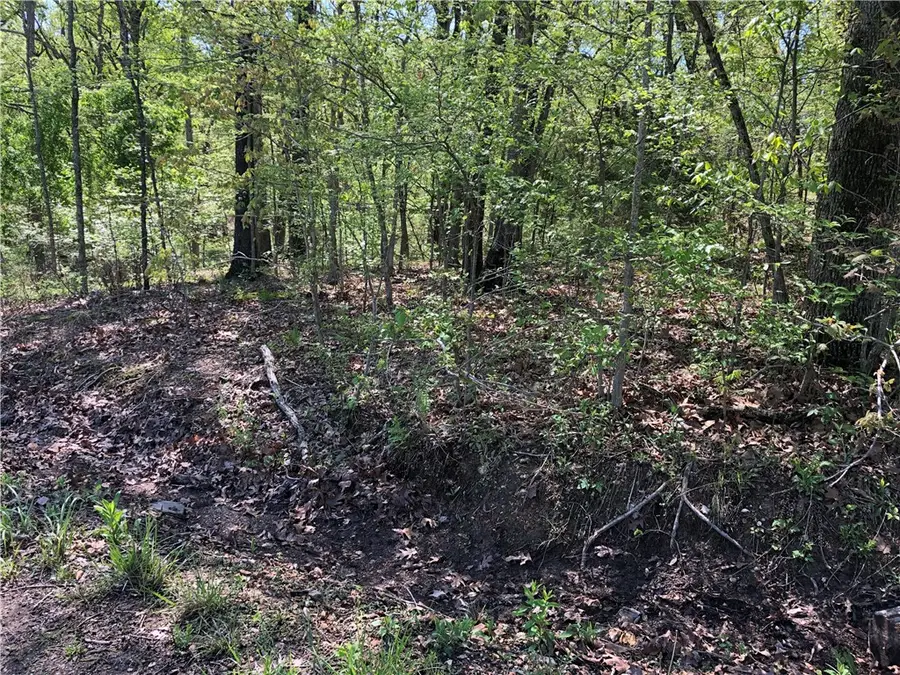 Lot 10 Grampian Lane, Bella Vista, AR 72715 - #2