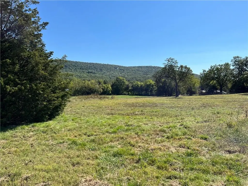 Tract 3 Highway 170, Farmington, AR 72730 - Image #1