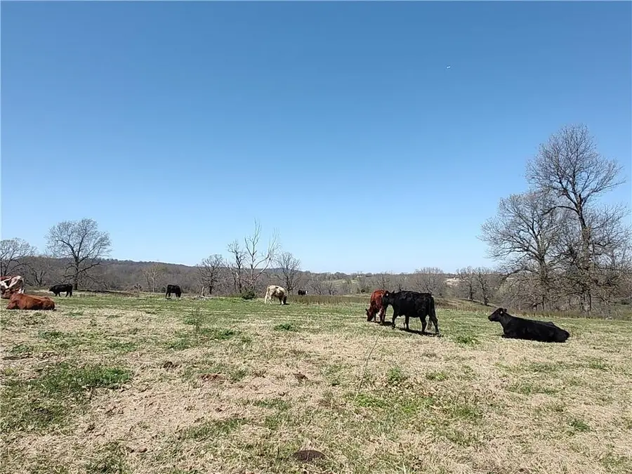 Hewitt Springs Road, Springdale, AR 72764 - Image #3