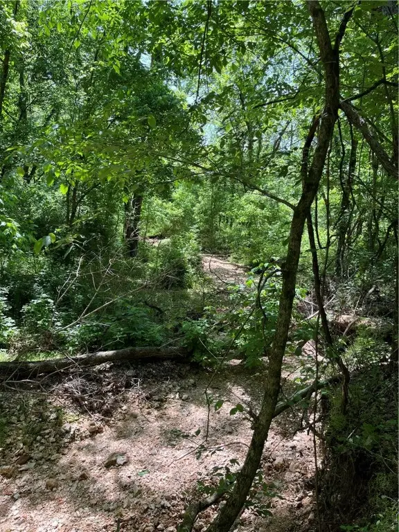 Lot 21 Stoneykirk Drive, Bella Vista, AR 72715 - #3