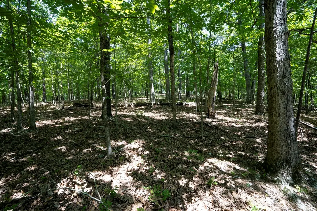 1103 Brown Bear Trail, Kansas, OK 74347 - #1