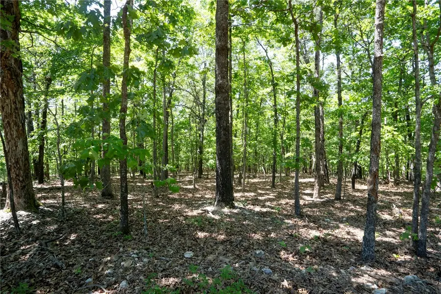 1103 Brown Bear Trail, Kansas, OK 74347 - #3