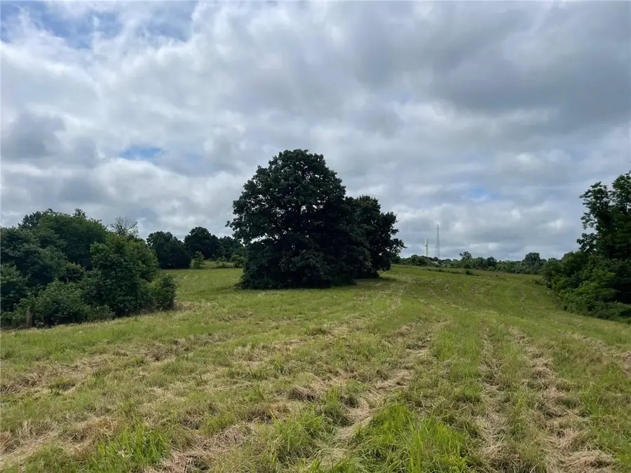 16.7 AC Turkey Ridge Court, Pineville South, MO 64854 - Image #3