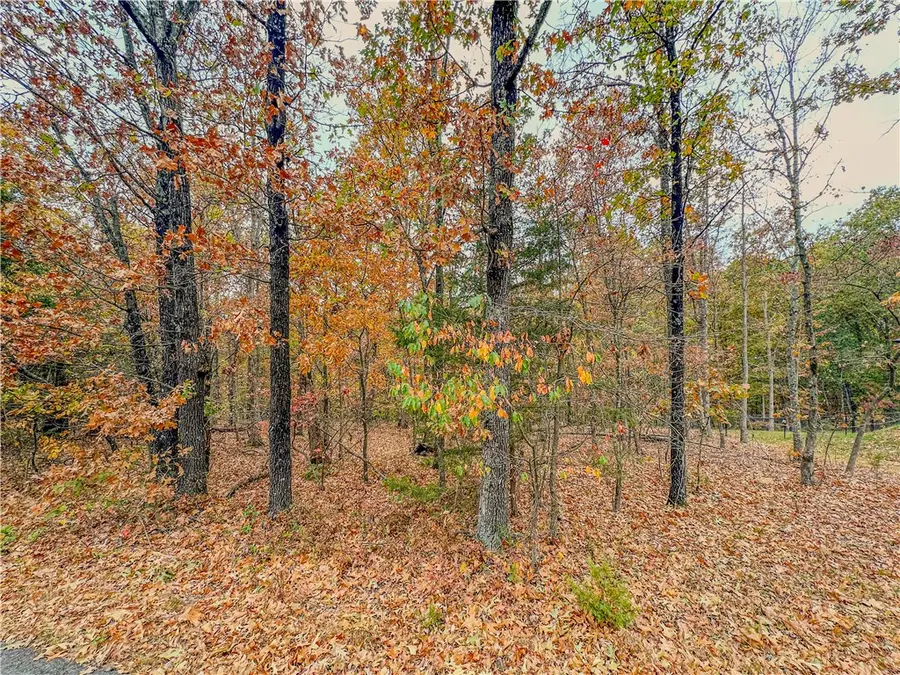 Lot 37 Block 4 Wigtown Lane, Bella Vista, AR 72715 - #2