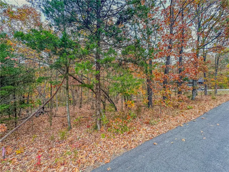 Lot 37 Block 4 Wigtown Lane, Bella Vista, AR 72715 - #3
