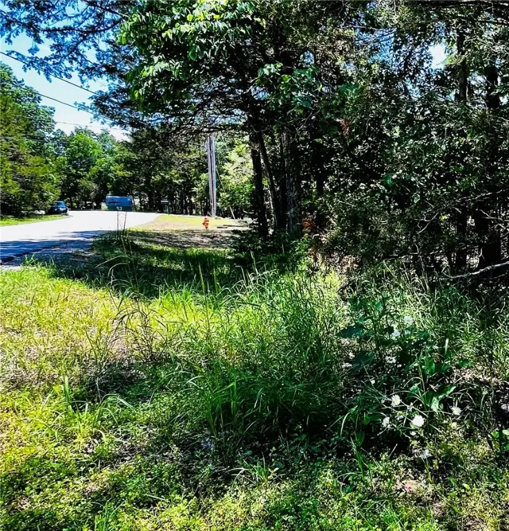 Table Rock Drive #5, Holiday Island, AR 72631 - Image #3