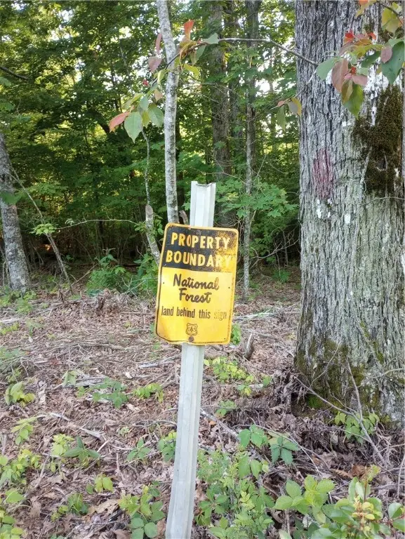 Hwy 327, Deer, AR 72628 - Image #2