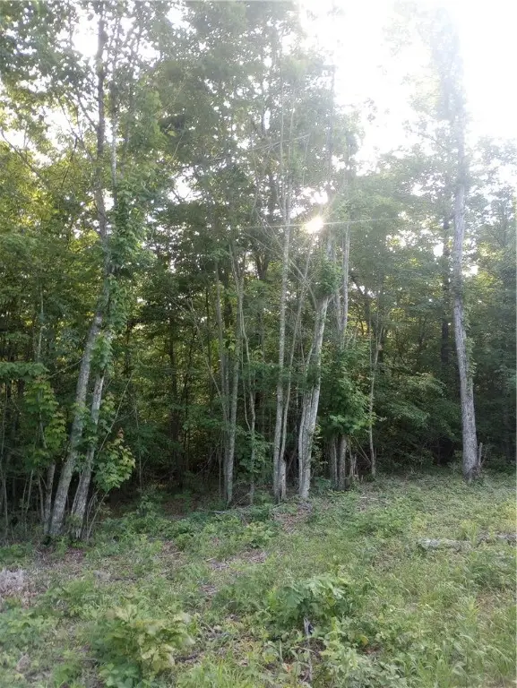 Hwy 327, Deer, AR 72628 - Image #3