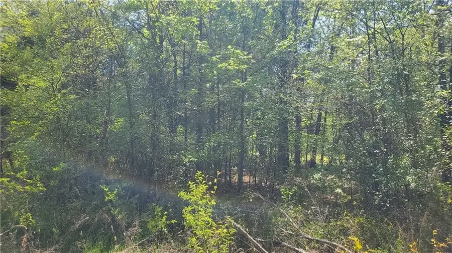 Homeplace Acr Drive, Van Buren, AR 72956 - Image #2