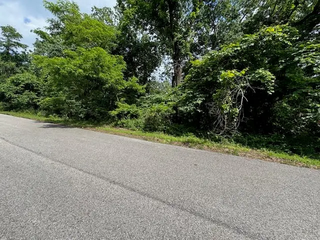 14 Cypress Point Lane, Holiday Island, AR 72631 - Image #2