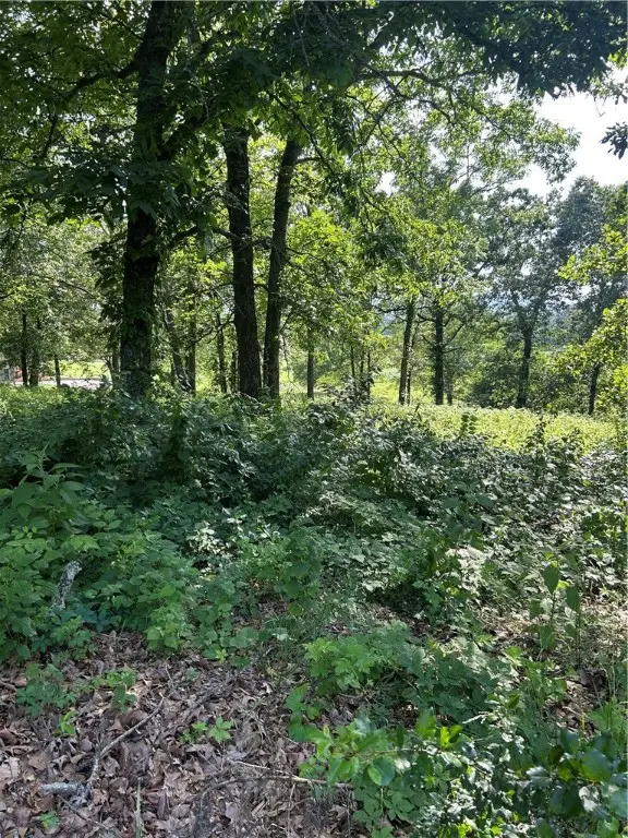 4019 Savannah Drive, Harrison, AR 72601 - Image #2