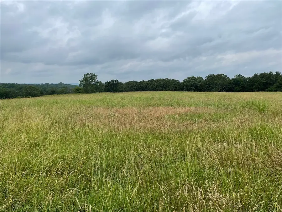 Ar 21 Highway, Berryville, AR 72616 - Image #2