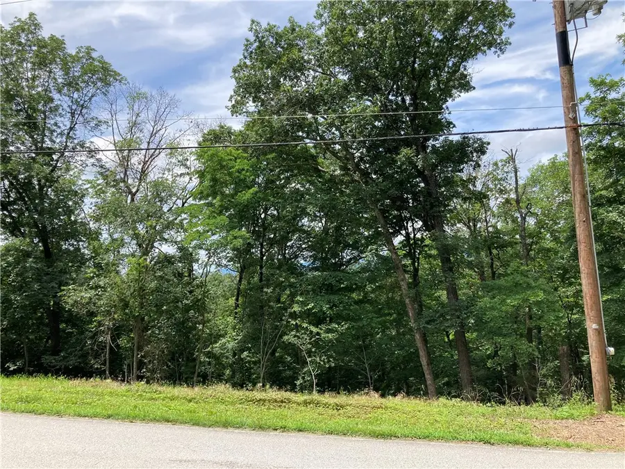 259 Holiday Island Drive, Holiday Island, AR 72631 - Image #3