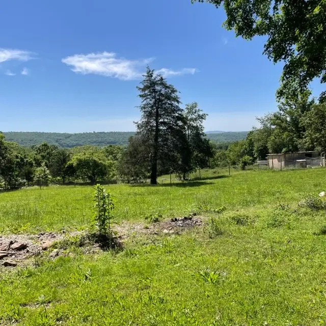 4841 Business Highway 412, Huntsville, AR 72740 - Image #3