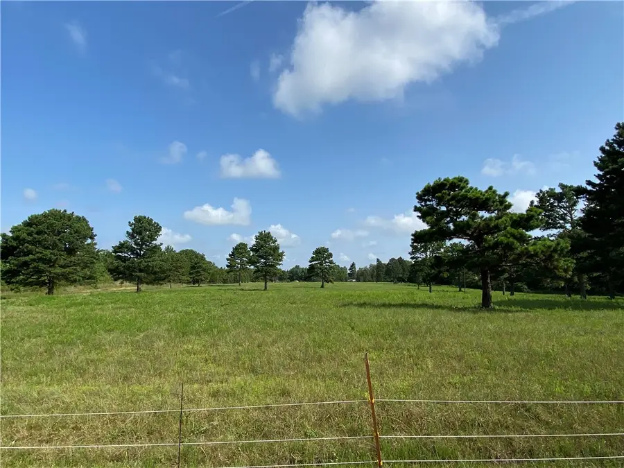 3309 Nc 421, Marble Falls, AR 72648 - Image #2