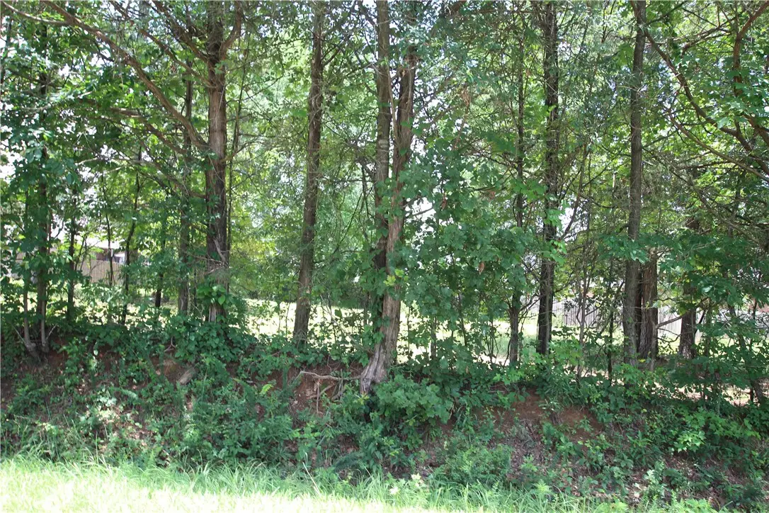 Lot 19 Rachel Circle Rachel, Dover, AR 72837 - Image #1