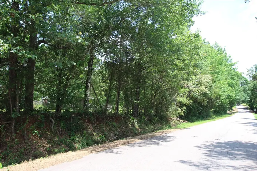 Lot 19 Rachel Circle Rachel, Dover, AR 72837 - Image #3