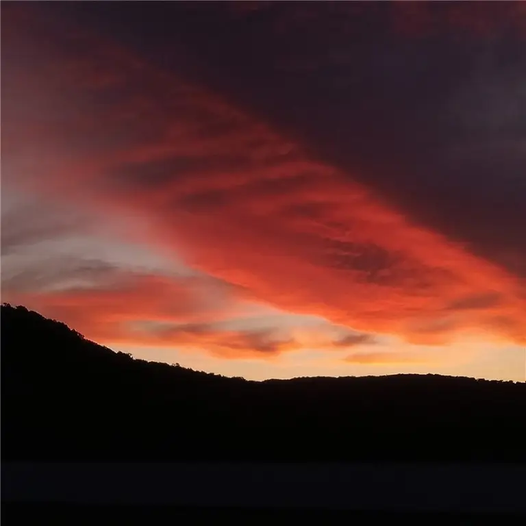 9250 County Road 905, Alpena, AR 72611 - Image #2