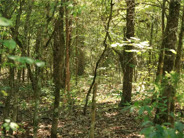 201 E Bo Peep Circle, Horseshoe Bend, AR 72512