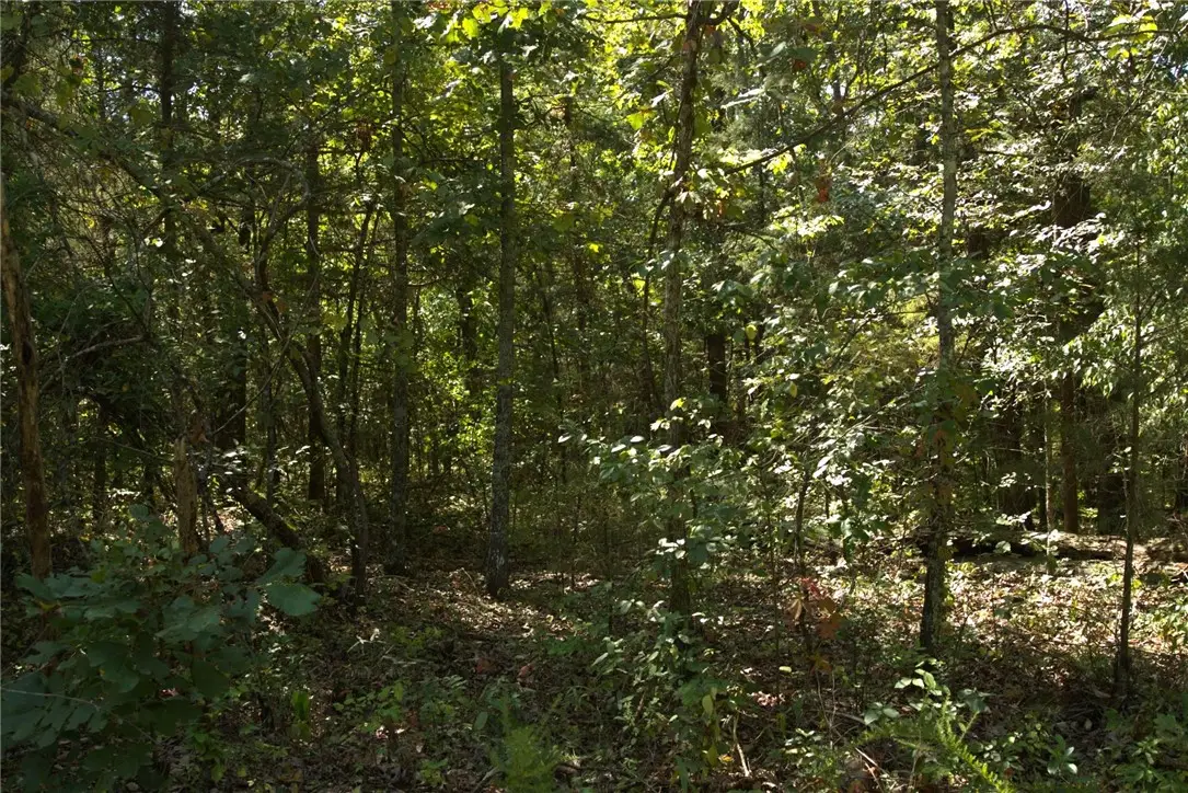 1505 Blackbird Lane, Horseshoe Bend, AR 72512 - #1