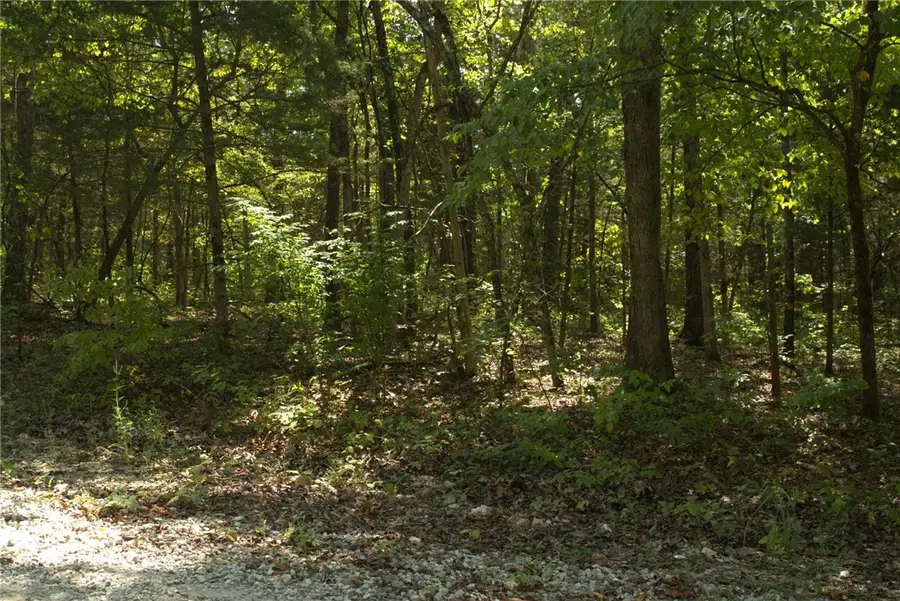 1505 Blackbird Lane, Horseshoe Bend, AR 72512 - #3