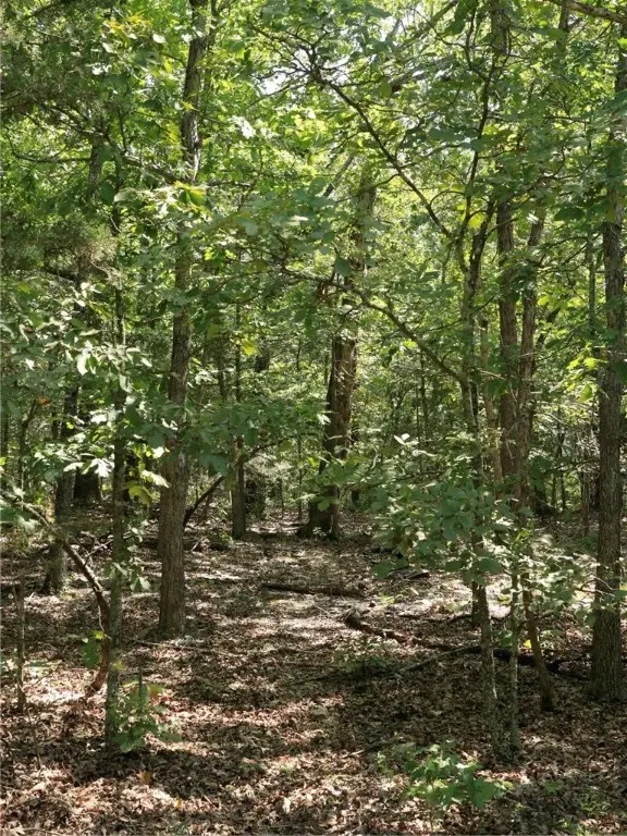 1215 Red Bird Lane, Horseshoe Bend, AR 72512 - #3