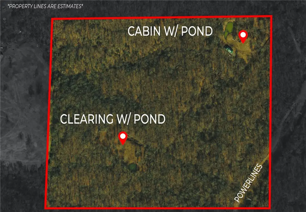 TBD Bug Scuffle Road, West Fork, AR 72774 - Image #1