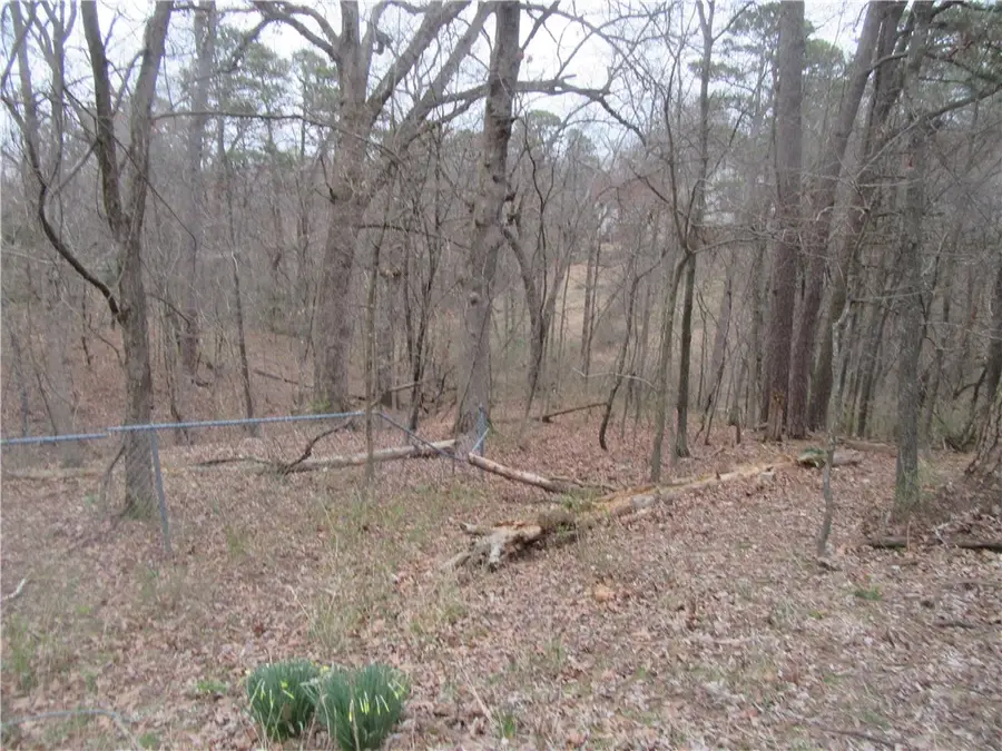 Paxos Street, Eureka Springs, AR 72632 - Image #2