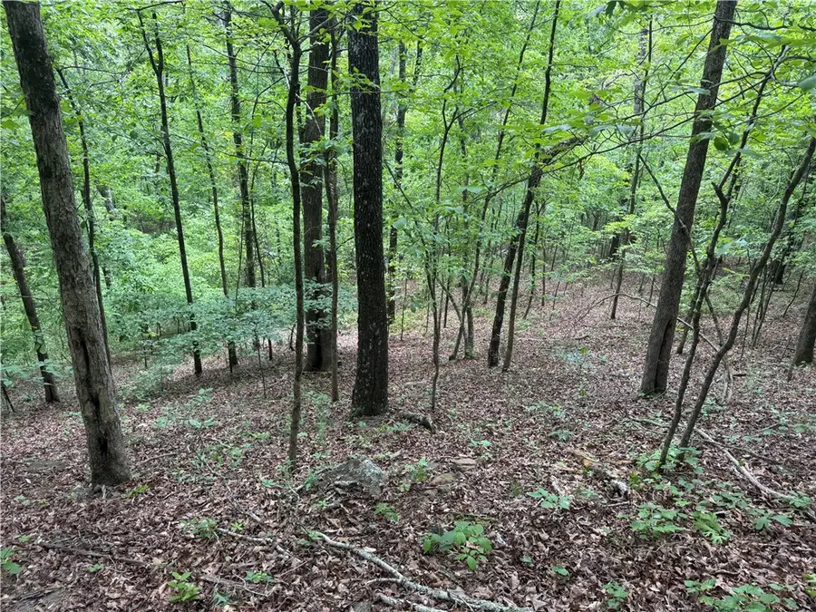 Tract 1 Nc 7540, Ozone, AR 72854 - Image #3