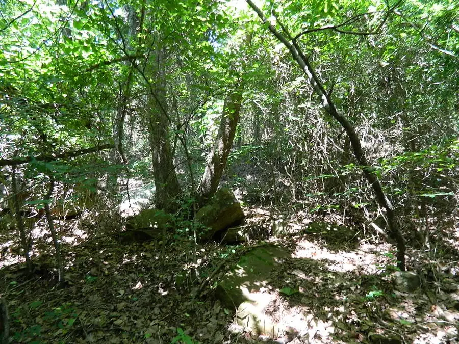 13184 Cove Creek Road, Prairie Grove, AR 72753 - Image #2