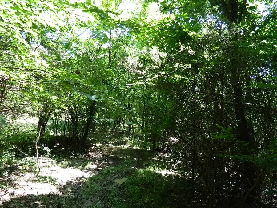 13184 Cove Creek Road, Prairie Grove, AR 72753 - Image #3