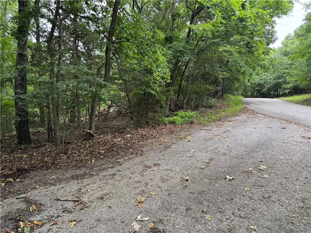 Lot 59 W Airport Drive, Garfield, AR 72732 - Image #1