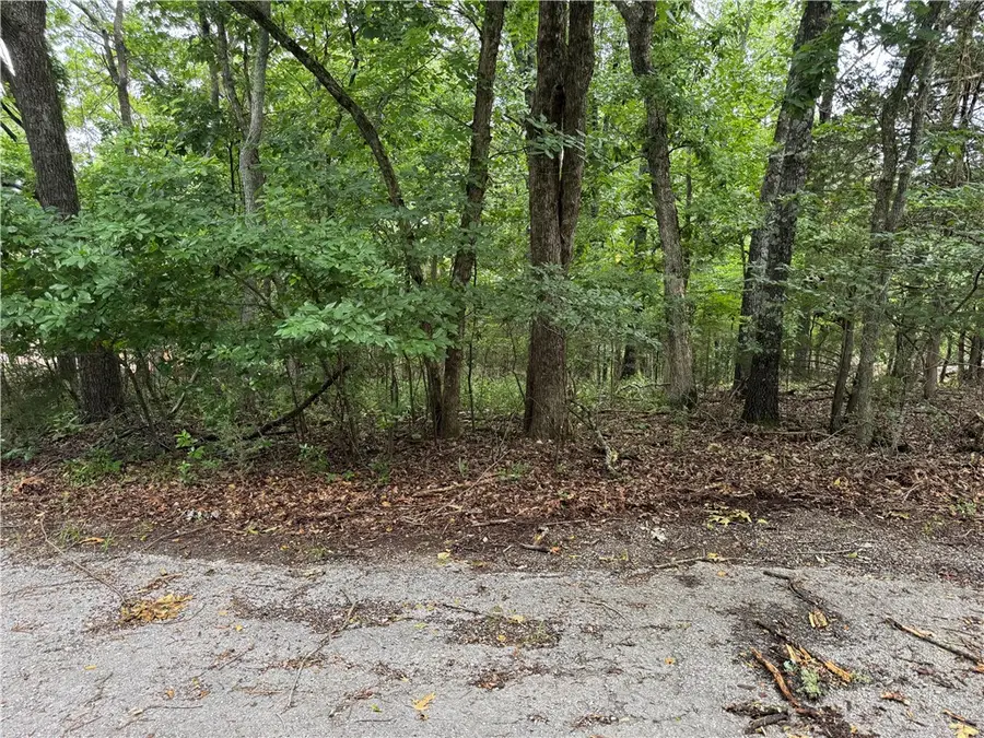 Lot 59 W Airport Drive, Garfield, AR 72732 - Image #2