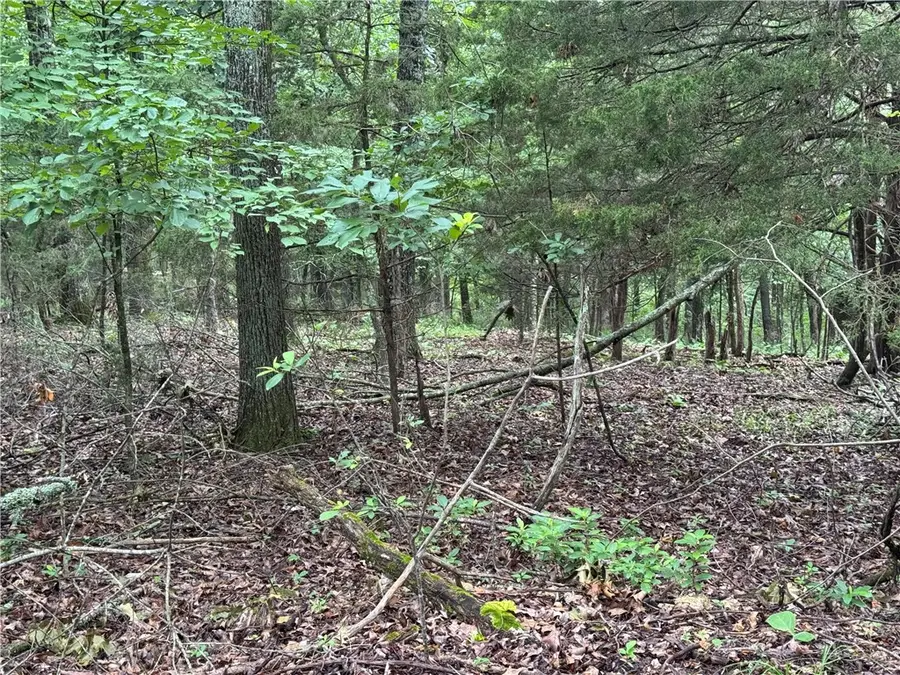 Lot 59 W Airport Drive, Garfield, AR 72732 - Image #3